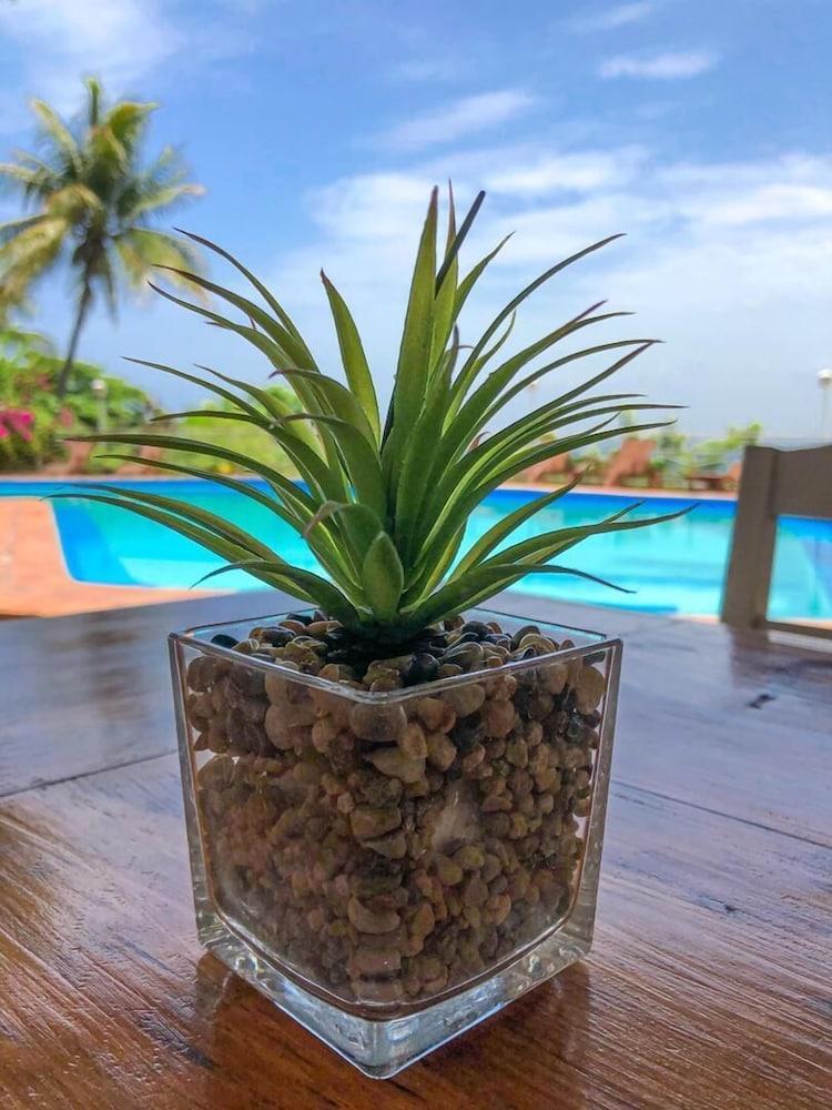Hotel Mont Joli Cap-Haïtien 외부 사진