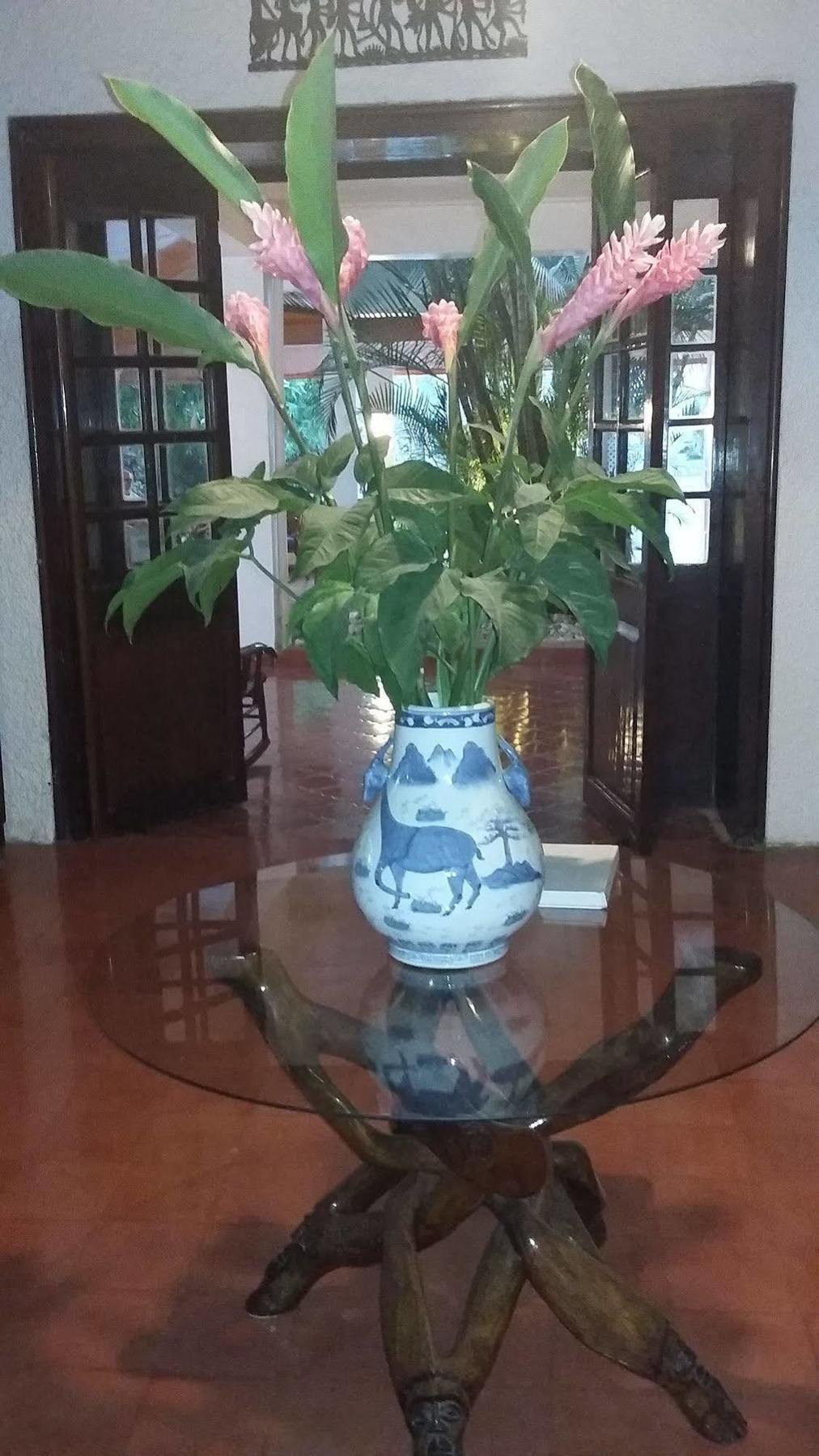 Hotel Mont Joli Cap-Haïtien 외부 사진
